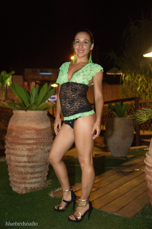 Bluebirdstudio Bluebirdstudio