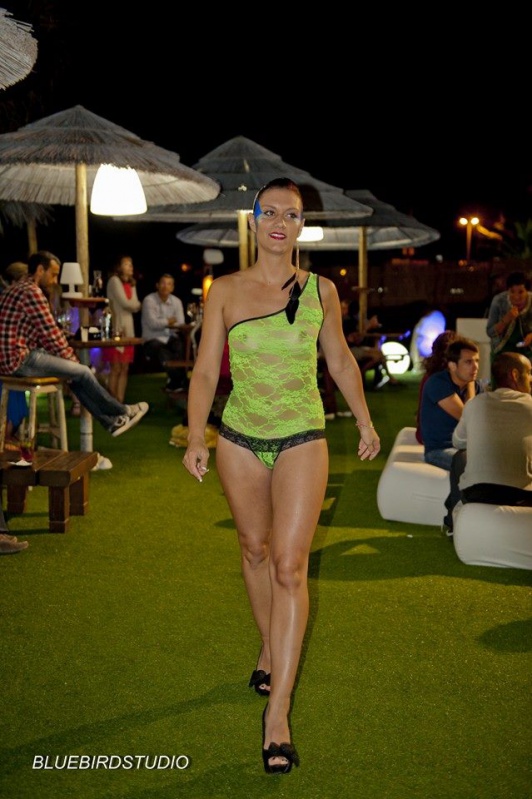 Bluebirdstudio Bluebirdstudio