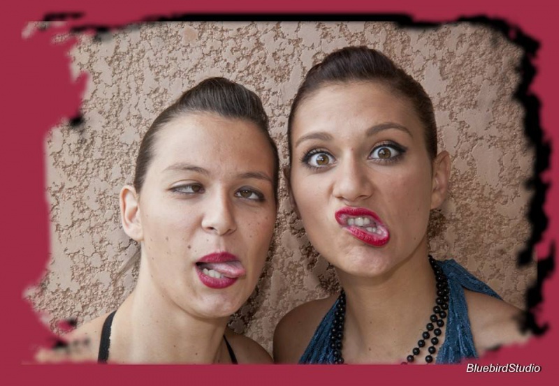 Bluebirdstudio Bluebirdstudio